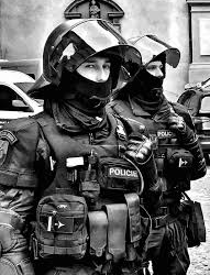 Redadas Anticorrupción Sacuden Tres Regiones Checas