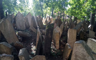 Praga en enero: cultura, cine y realidades sociales