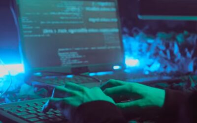 Moda “local” con etiqueta global: dudas sobre la tienda online Zaree Fashion